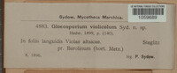 Gloeosporium violicola image